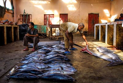 somalia_fishing.jpg