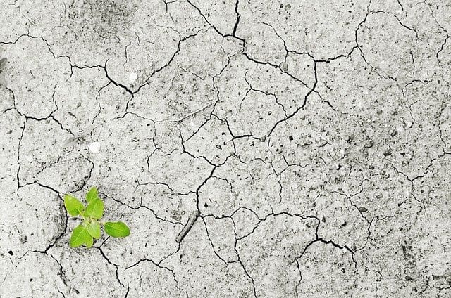 La agricultura inteligente como futuro para Madagascar