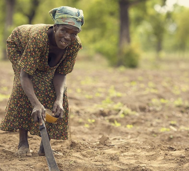 ¿En qué han quedado los acaparamientos de tierras en África?