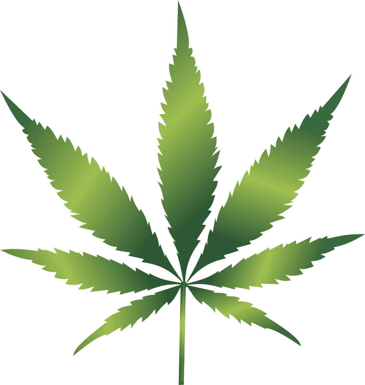 Tanzania debate la legalización de la marihuana