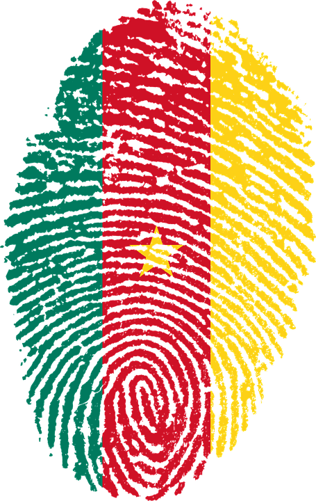 Samuel Eto´o elegido presidente de la Fecafoot