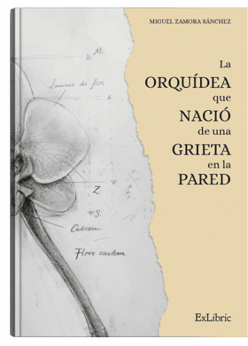 La orquídea que nació de una grieta en la pared, una obra de Miguel Zamora