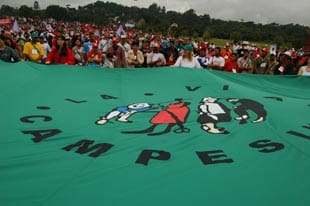 Tierra y libertad: luchas campesinas por la humanidad