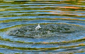 agua_19.jpg