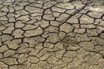 Cuestión de vida o muerte. Reflexiones sobre el cambio cllimático en África  por José  Carlos  Rodríguez Soto