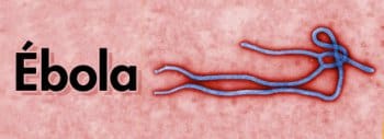Situación de la epidemia de Ébola del noreste de la República Democrática del Congo a fecha 8 de Marzo de 2020, por José Antonio Barra Martínez