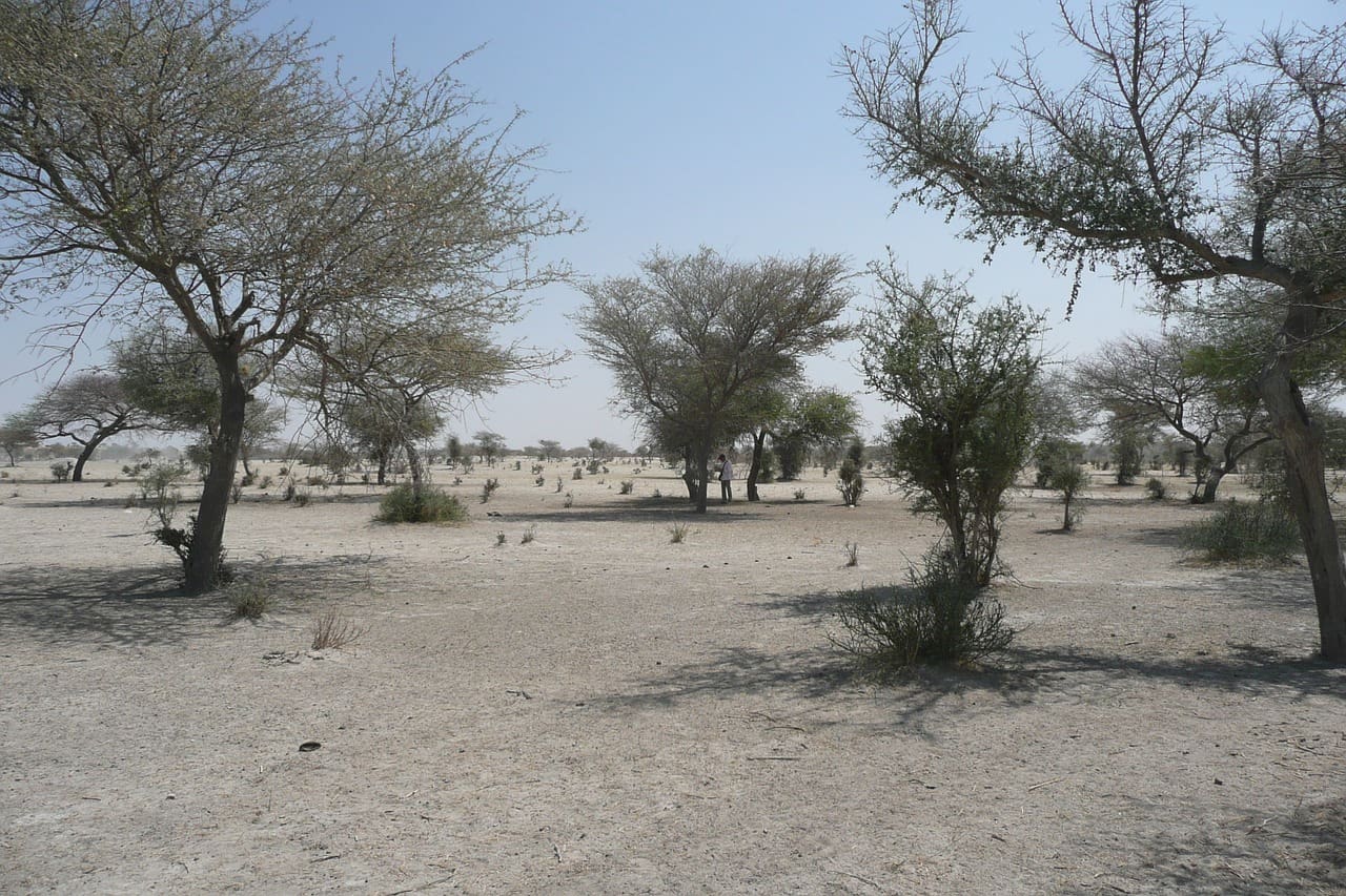 El Sahel en manos de tres yihadistas tras la muerte del líder de al-Qaeda