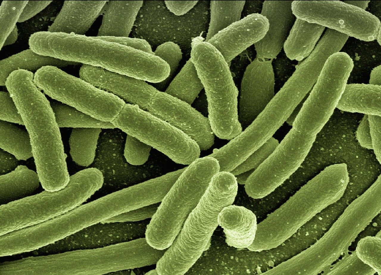 Investigadores ruandeses descubren una nueva cepa de tuberculosis