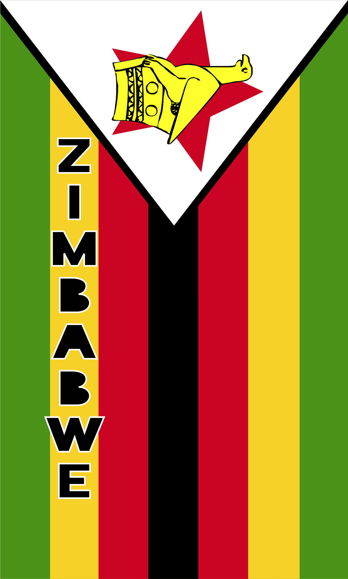 Zimbabue impulsará el uso de vehículos eléctricos