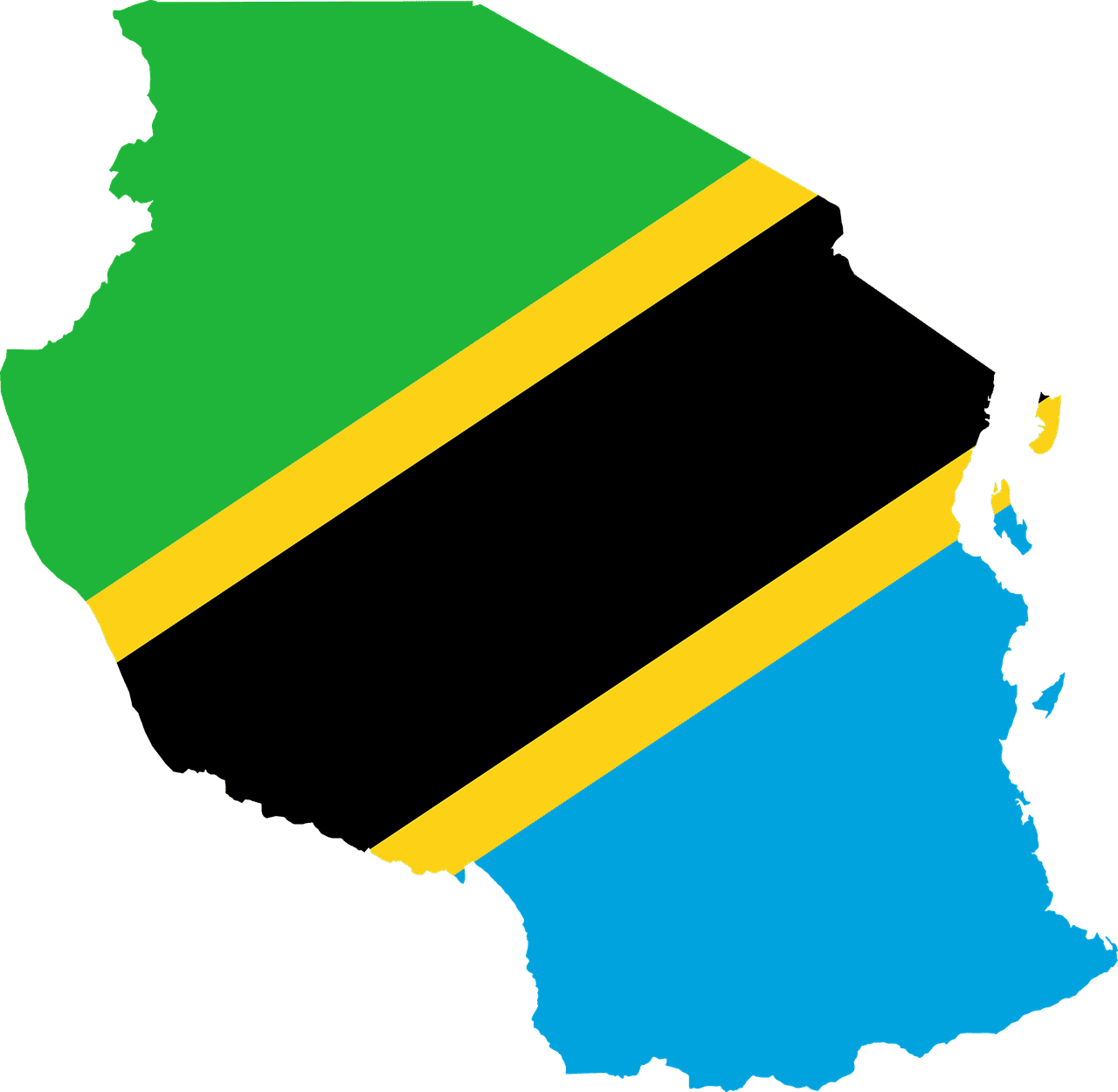 La muerte priva a Tanzania de 10 personalidades destacadas en febrero