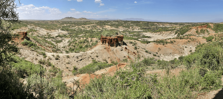 Los descubrimientos arqueológicos de África en 2021 (1/3)