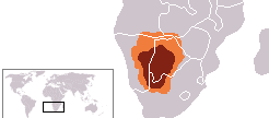 Los descubrimientos arqueológicos de África en 2021 (2/3)