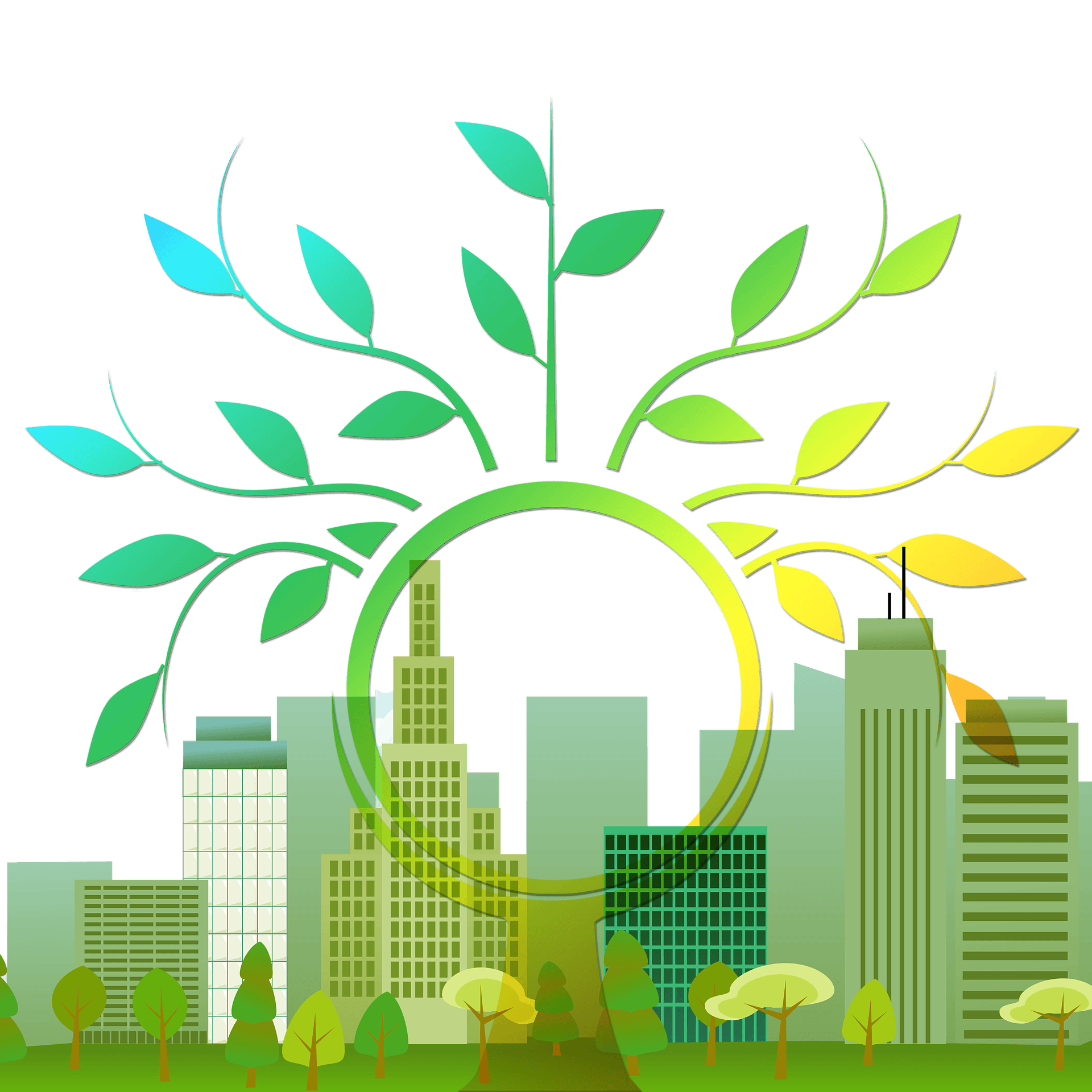 tree-990845_1920.png