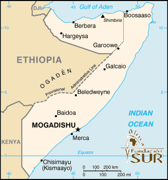 Causas y perspectivas de la crisis política en Somalia,  por Marco Cochi