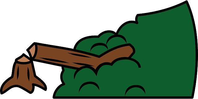 tala.png
