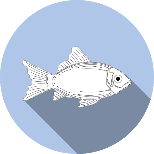 El Gobierno de Namibia obtiene grandes beneficios de la subasta de pescado