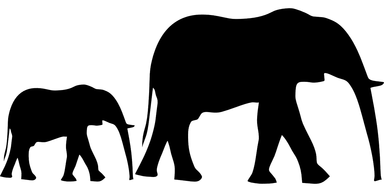 elephant-gf5f4f9a9a_1280.png