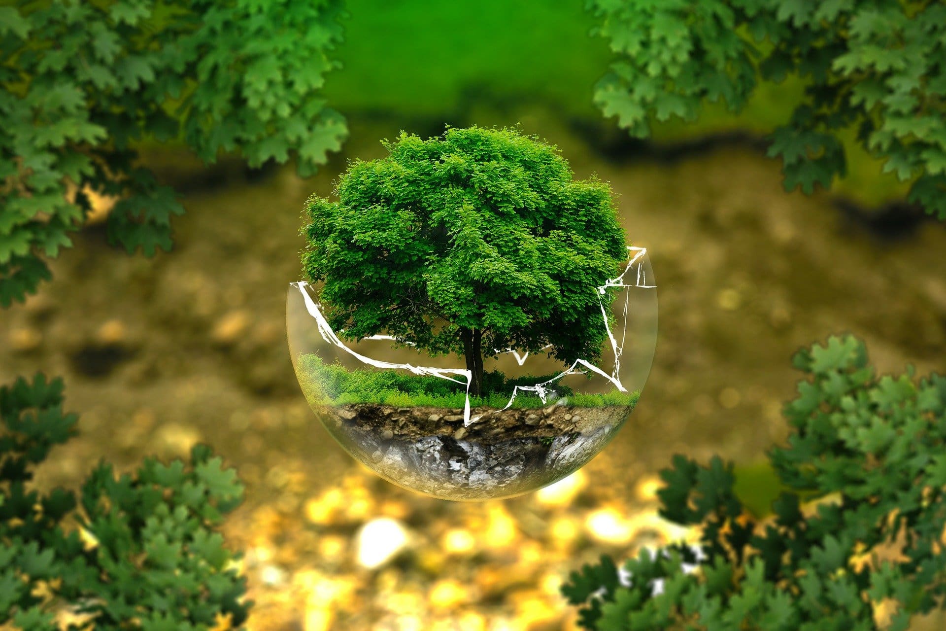 environmental-protection-g88fa3bced_1920.jpg